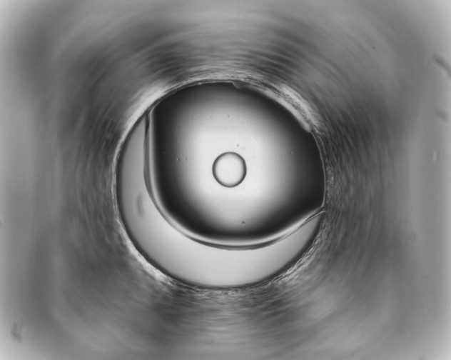 X0000093361095200710251125