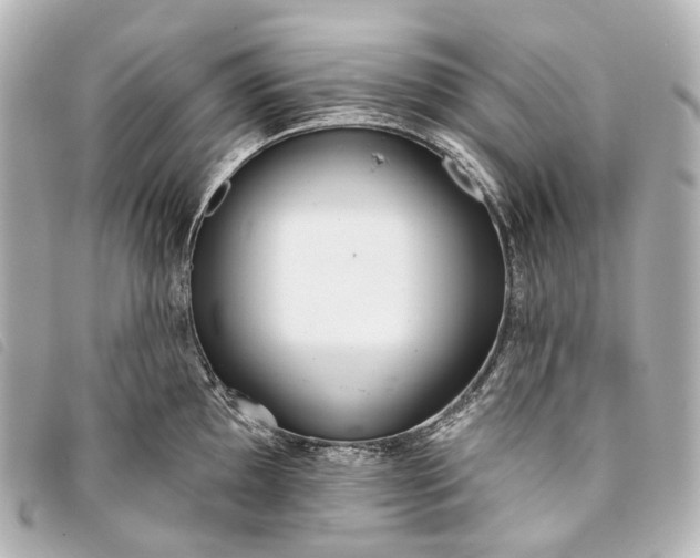 X0000093361097200710251125