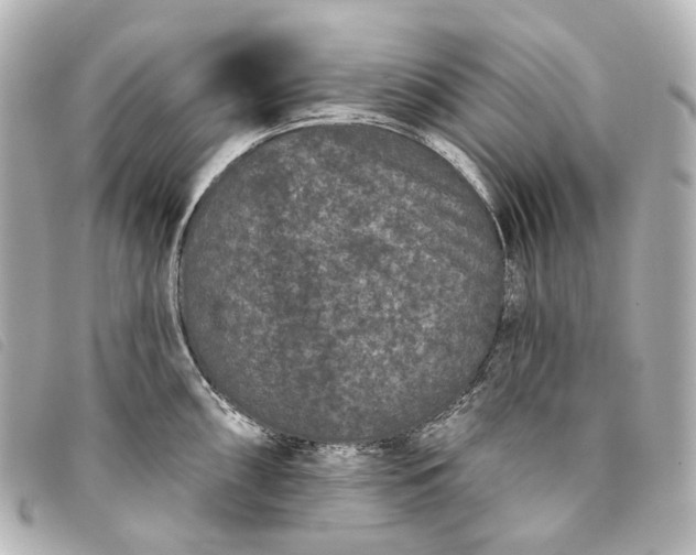 X0000093361098200710251125