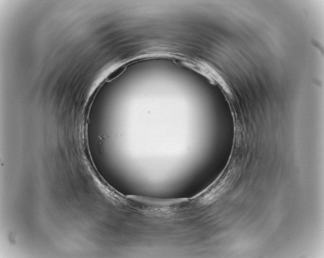 X0000093361101200710251125