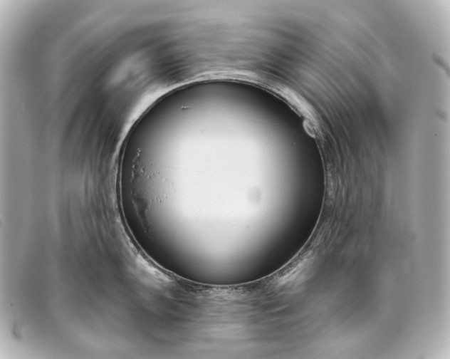 X0000093361102200710251125