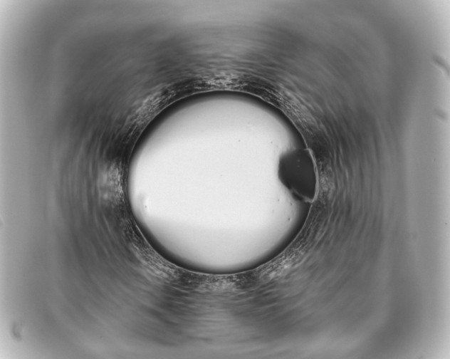 X0000093361106200710251125