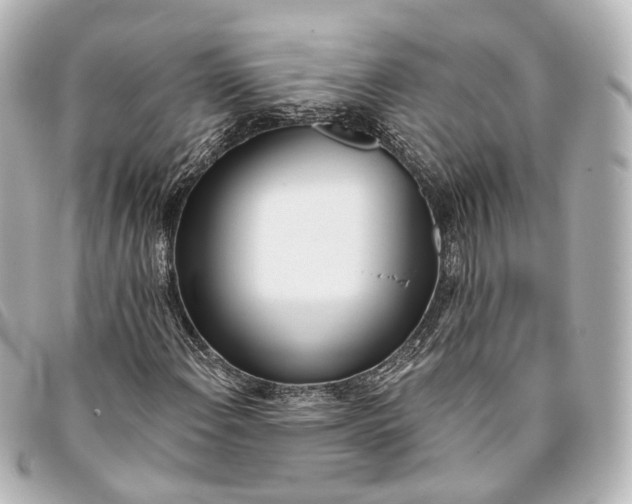 X0000093361108200710251125