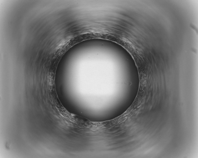 X0000093361110200710251125