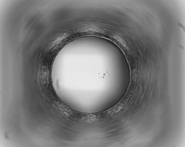 X0000093361111200710251125