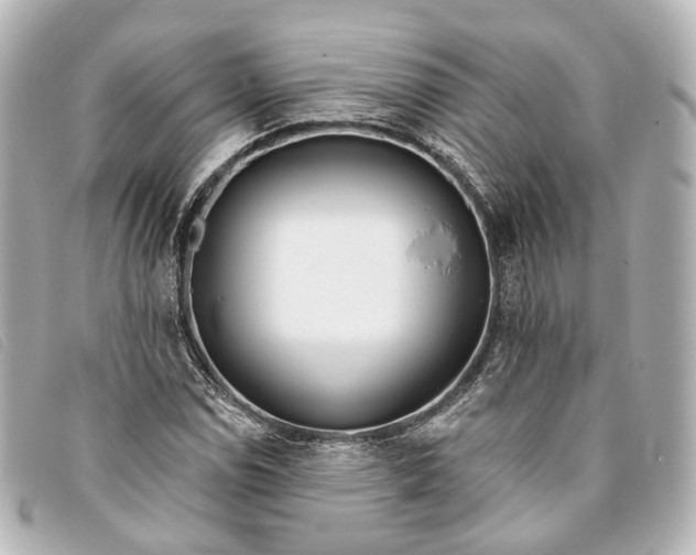 X0000093361114200710251125