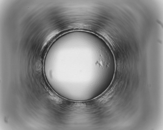 X0000093361115200710251125