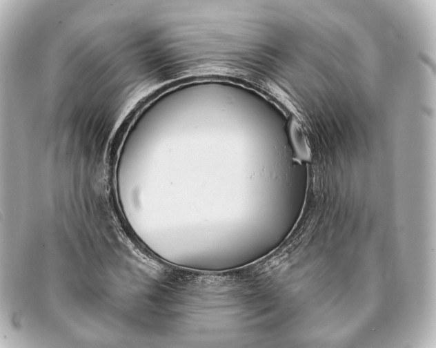 X0000093361116200710251125