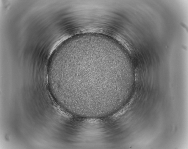 X0000093361117200710251125