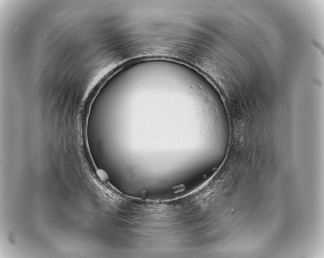 X0000093361120200710251125