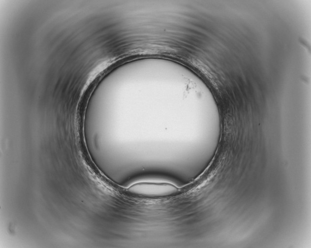 X0000093361122200710251125
