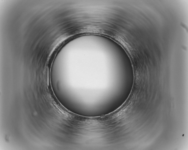X0000093361123200710251125