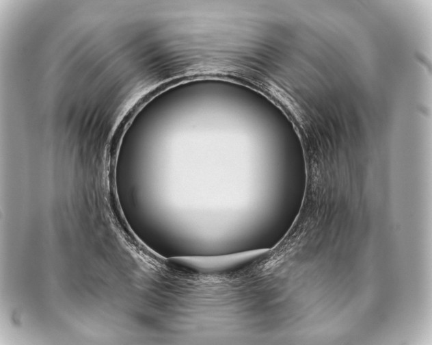 X0000093361124200710251125