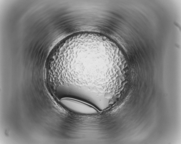 X0000093361125200710251125