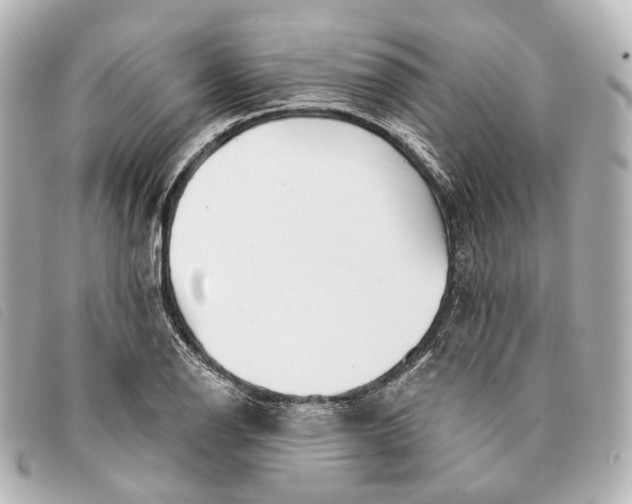 X0000093361126200710251125