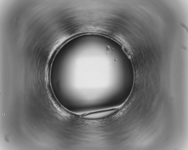 X0000093361128200710251125