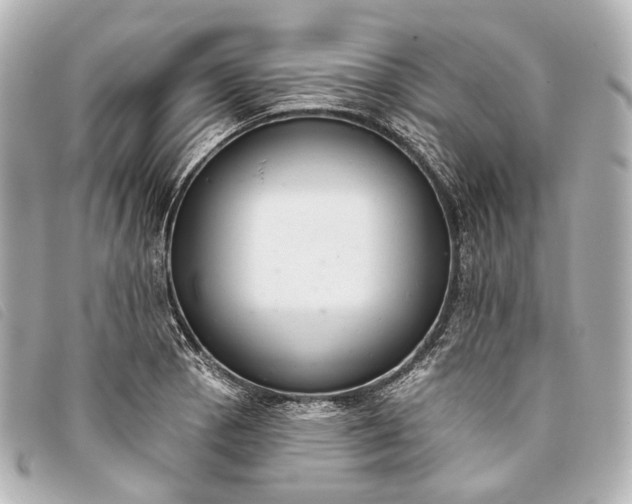 X0000093361129200710251125