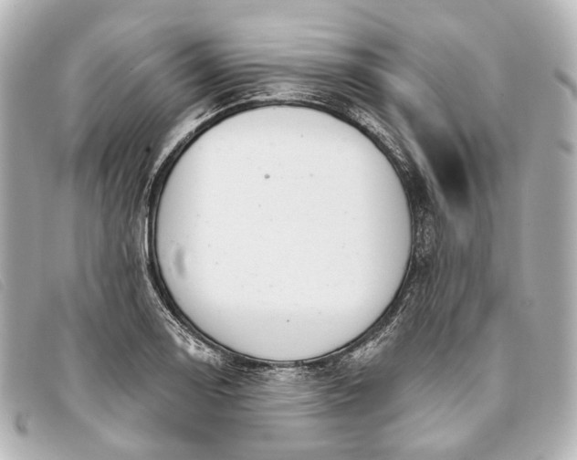 X0000093361130200710251125