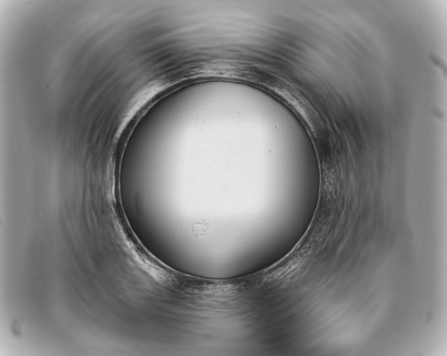 X0000093361131200710251125