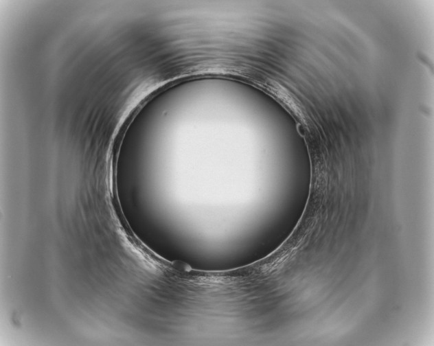 X0000093361132200710251125