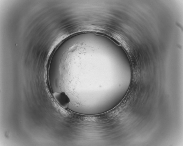 X0000093361136200710251125