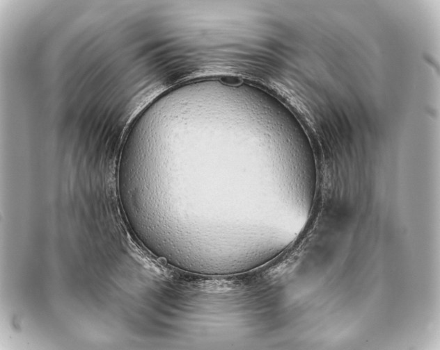 X0000093361137200710251125
