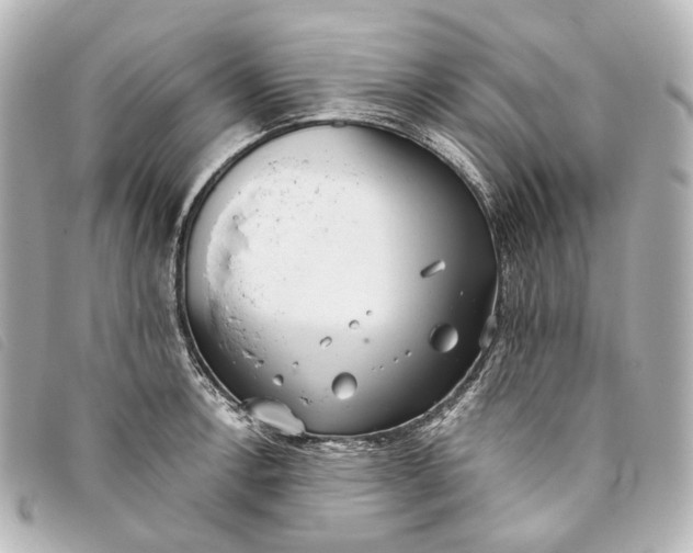 X0000093361138200710251125