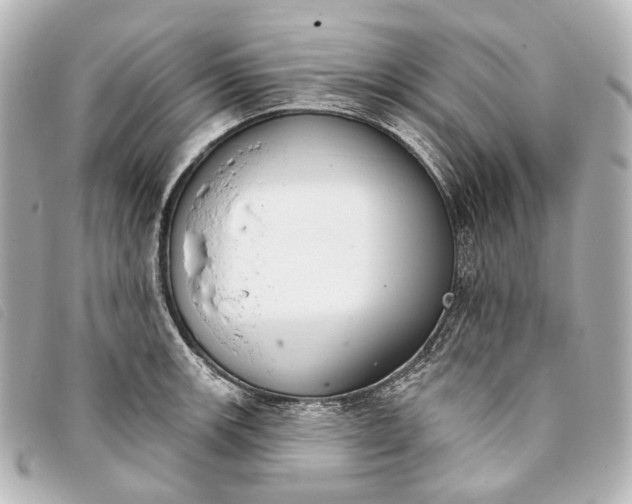 X0000093361139200710251125