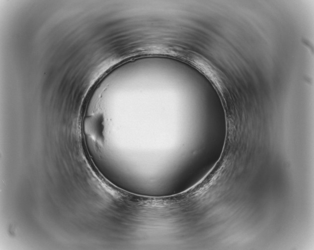 X0000093361141200710251125