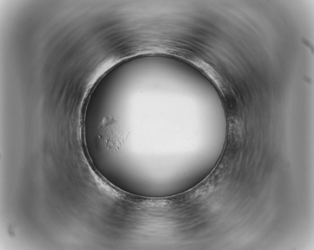 X0000093361143200710251125