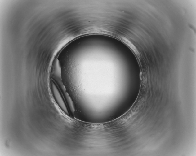 X0000093361144200710251125