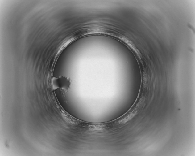 X0000093361145200710251125