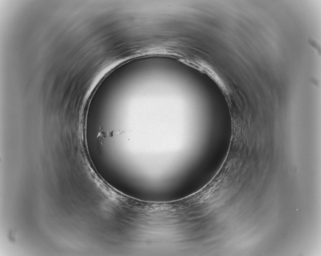 X0000093361148200710251125