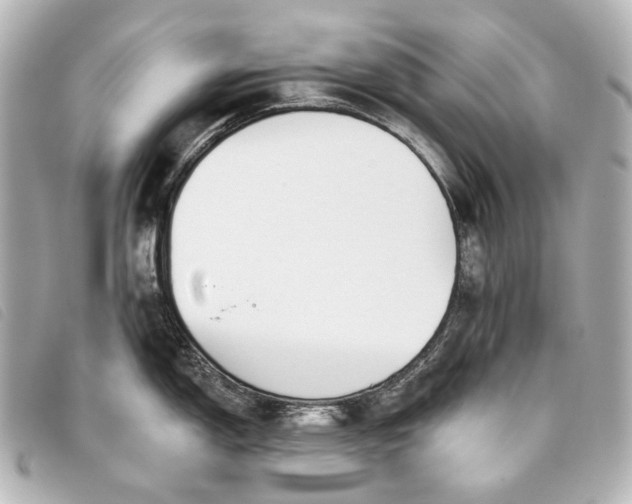 X0000093361150200710251125