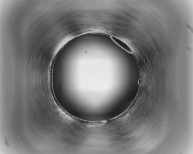 X0000093361151200710251125