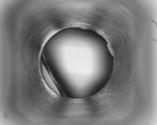 X0000093361152200710251125