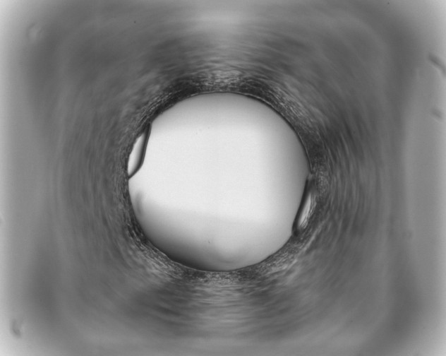 X0000093361153200710251125