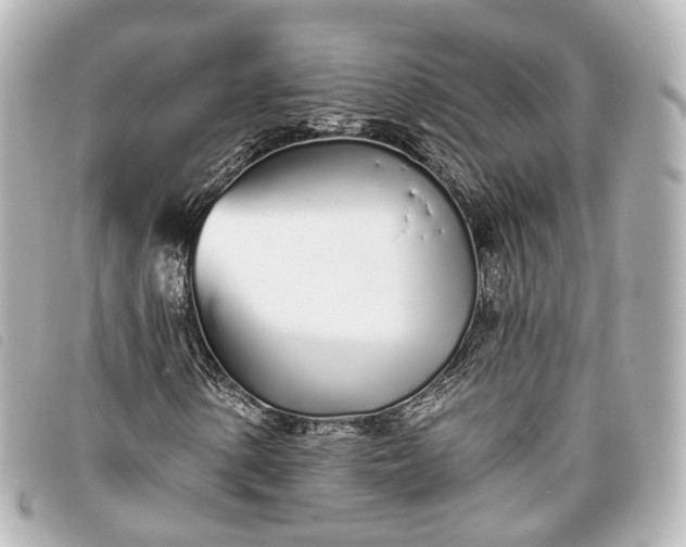 X0000093361154200710251125