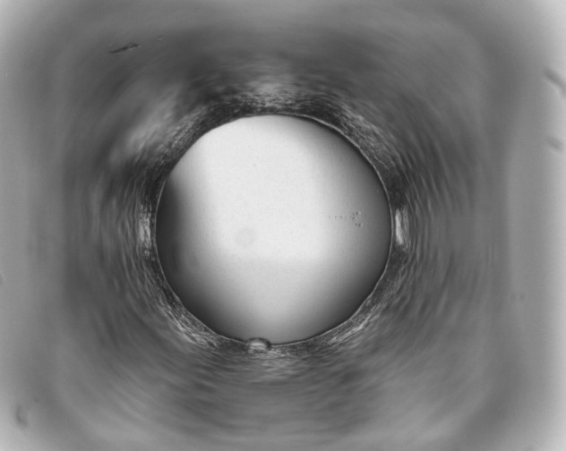 X0000093361155200710251125