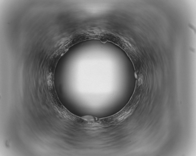 X0000093361156200710251125