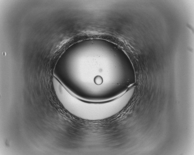 X0000093361157200710251125