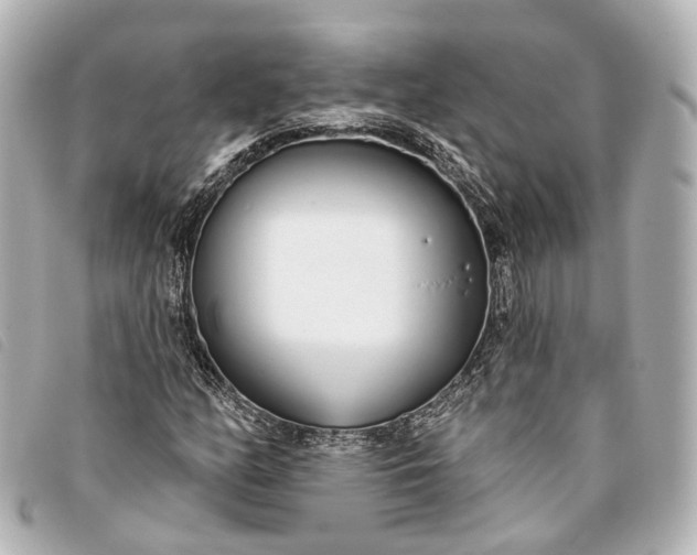 X0000093361158200710251125
