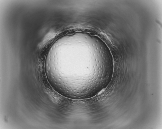 X0000093361159200710251125