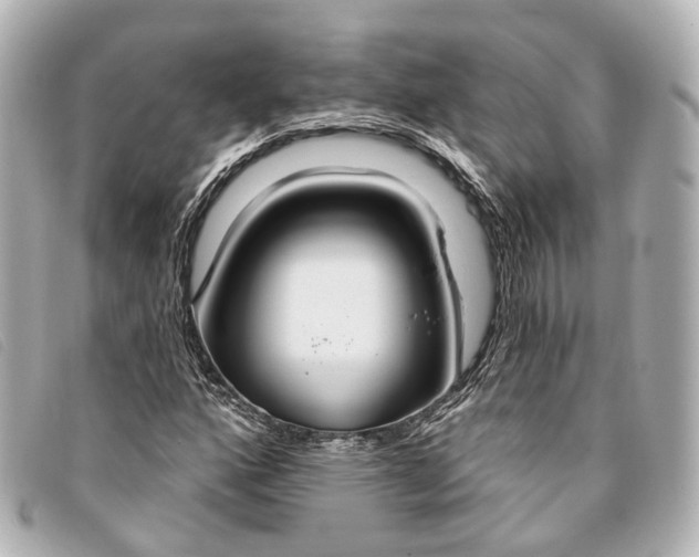 X0000093361160200710251124