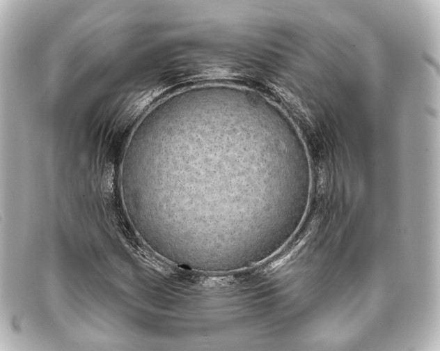 X0000093361161200710251124