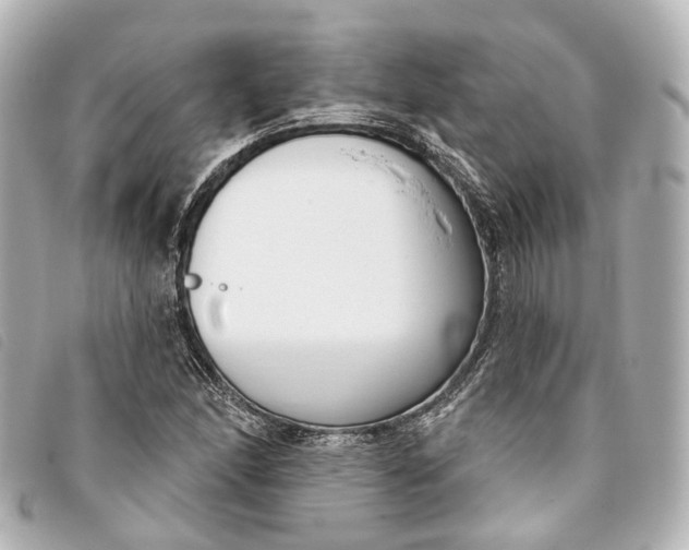 X0000093361166200710251124