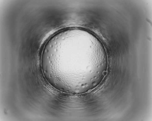 X0000093361167200710251124