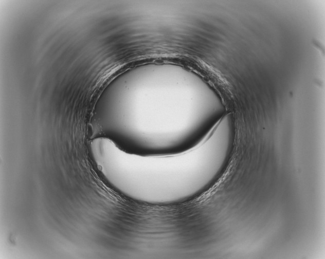 X0000093361169200710251124