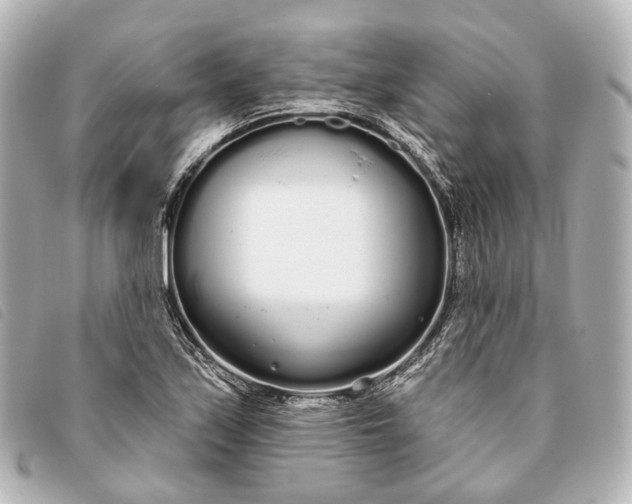 X0000093361171200710251124