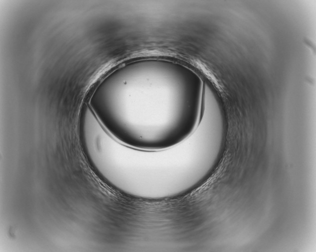 X0000093361173200710251124